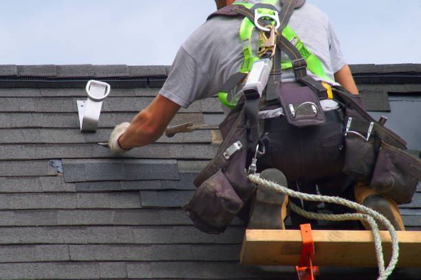Best Roof Gutter Cleaning  in Perry, IA