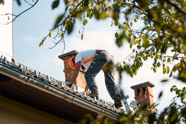 Best Best Roofing Contractors  in Perry, IA
